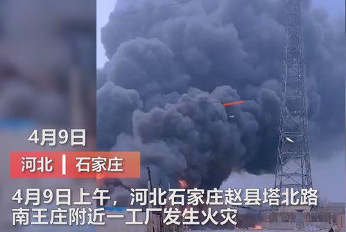 魏县最新事件爆料视频大全,现场直击,真相揭秘